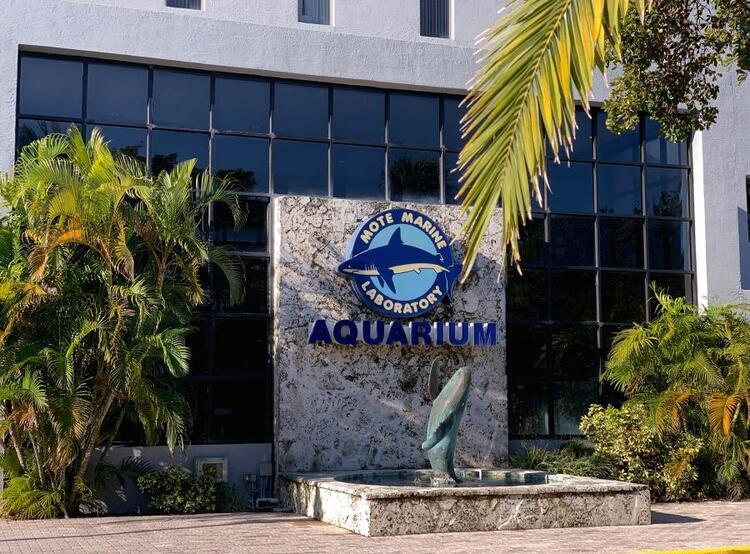 Mote Aquarium